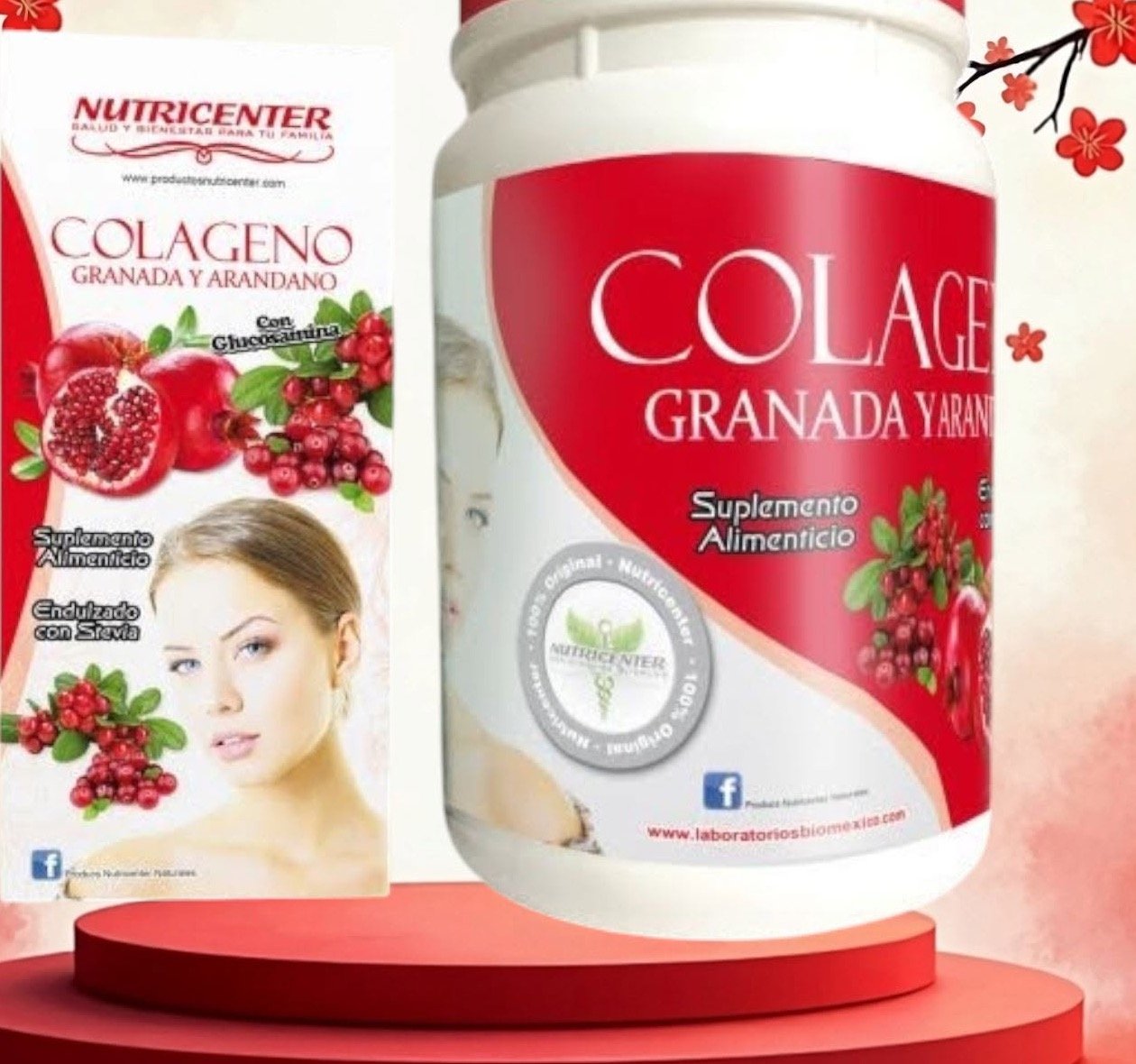 Col&aacute;geno granada y ar&aacute;ndano